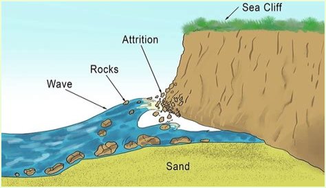 How does attrition affect the coast?