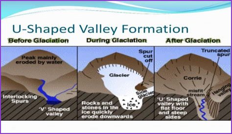What are U shaped valleys formed by?