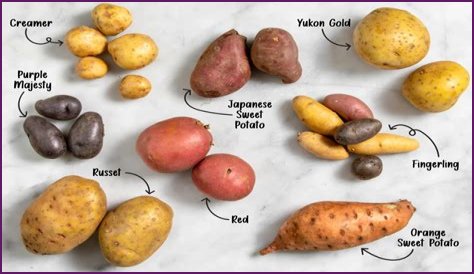 What is Irish potato used for?