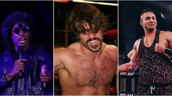 10 People Who Have Basically Been Blackballed From The Wrestling Industry