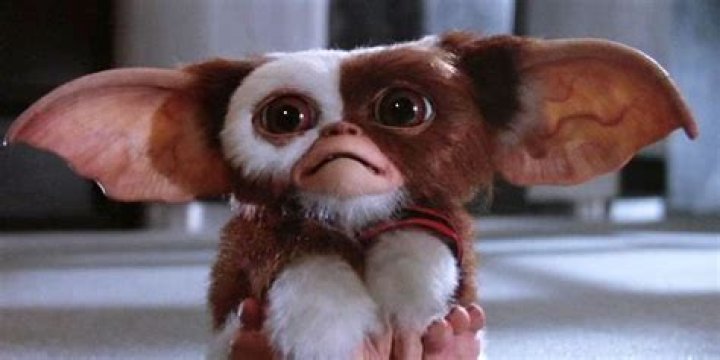 10 Things About Gremlins That Make No Sense