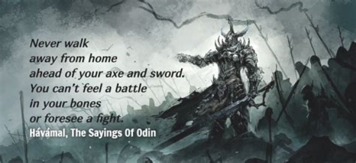 15 Norse Quotes From The Havamal That Instruct a Bold Lifestyle BaviPower