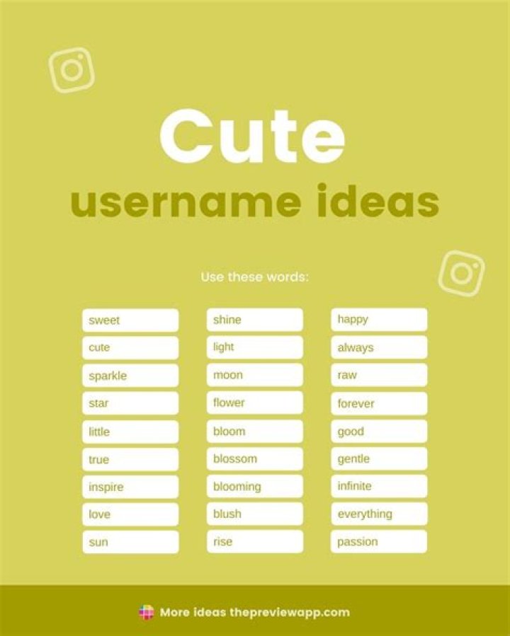 +150 Instagram Username Ideas (MustHave List 2021) Instagram