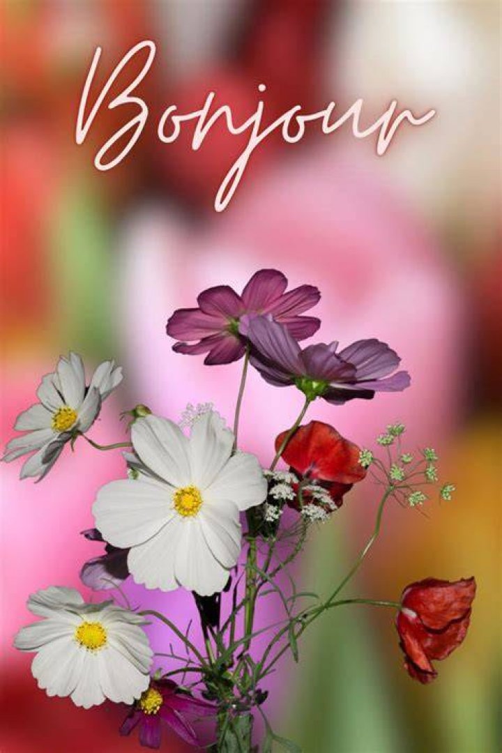 صور رمزيات رائعة صور رمزيات رائعة