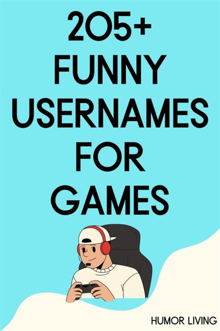 205+ Funny Usernames for Games (Hilarious Gamertags) Humor Living