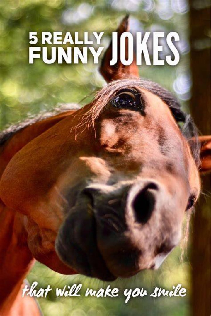 5 really funny jokes that will make you smile Roy Sutton