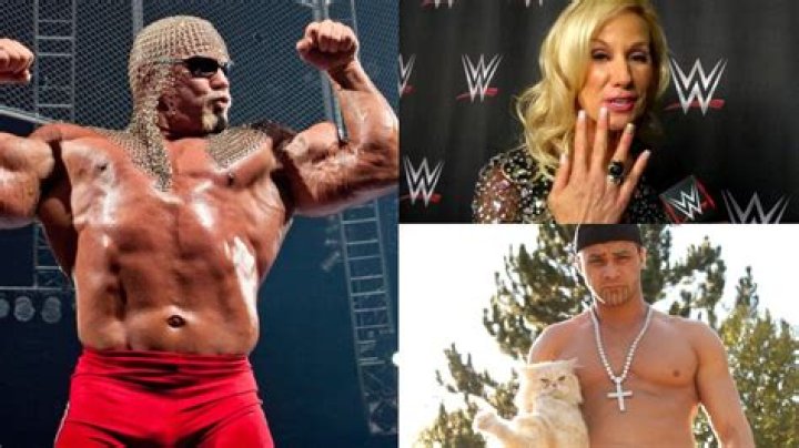 5 Wrestlers Who Were Blacklisted By WWE But Were Welcomed Back (& 5 Who Never Did)