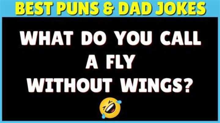50 Awfully Funny Puns That Are As Good As Any Puns Will Ever Get