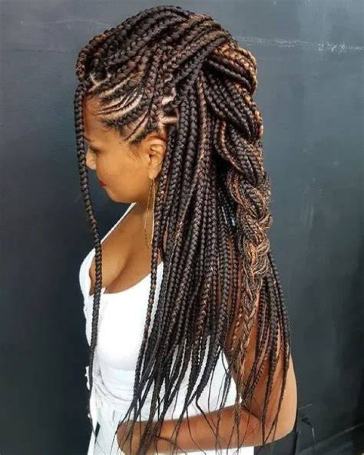 50 Box Braids Protective Styles on Natural Hair with Full Guide Coils