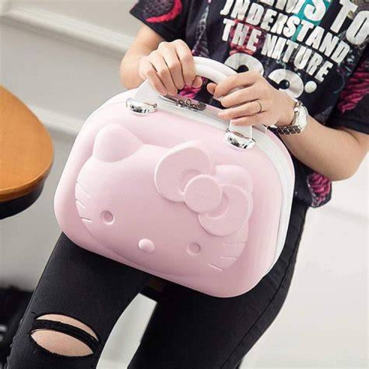 6 Purrrfectly Poppin' Hello Kitty Makeup Bag Picks!