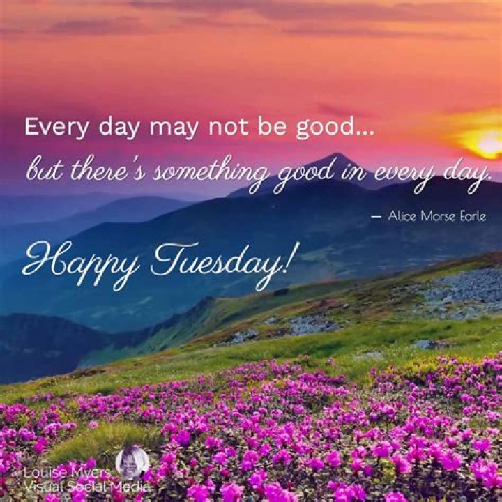 83 best Happy Tuesday images on Pinterest
