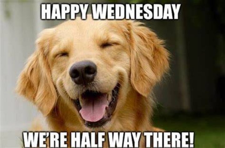 97 Funny Wednesday Memes Of All Time With Images