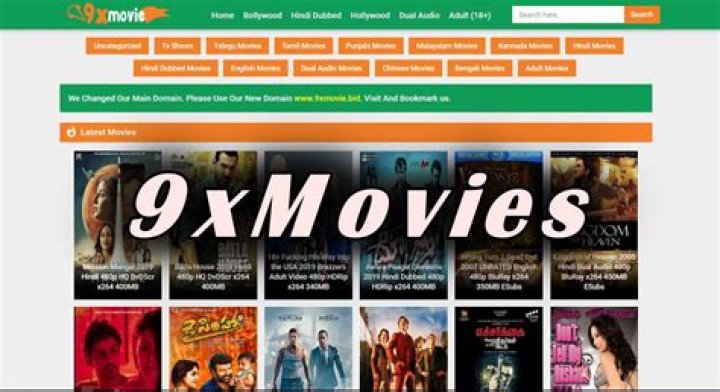 9XMOVIES 2022 WEBSITE DOWNLOAD FULL HD BOLLYWOOD & HOLLYWOOD MOVIES