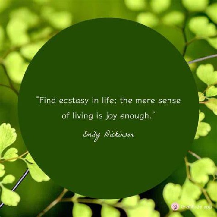 A Bug's Life: 10 Best Quotes