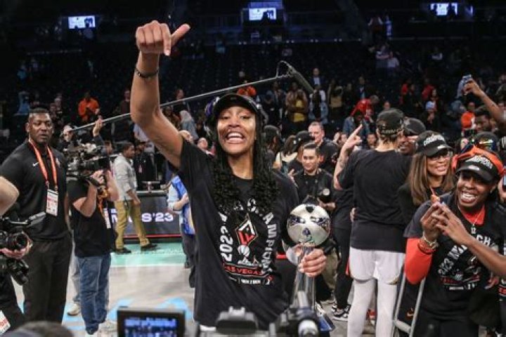 A’ja Wilson Gets Amused by Jalen Brunson’s Meme Reaction to Josh Hart Passing
Into Outer Space