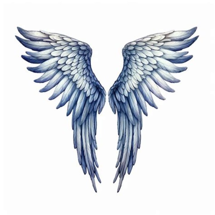 A pair of angel wings (L). An angel sculpture(R) A pair of angel wings (L). An angel sculpture(R)