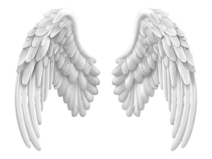 A pair of white angel wings in a clear sky A pair of white angel wings in a clear sky