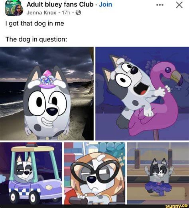 Adult bluey fans Club