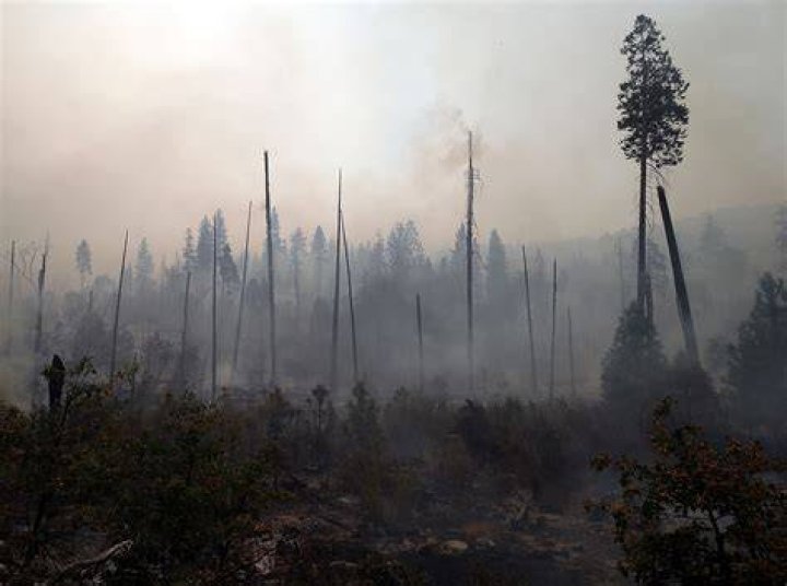 Aftermath of the fire. Photo / Supplied