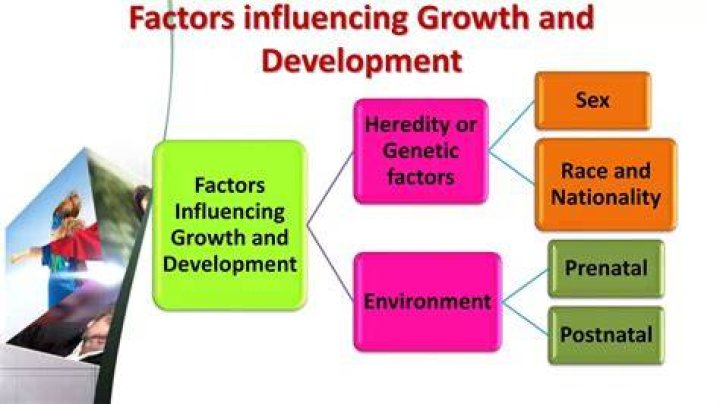 Aisha Height: Understanding The Factors Influencing Growth And Development