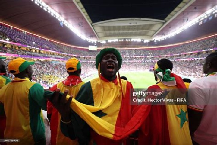 AL KHOR, DECEMBER 04 Senegal head coach Aliou Ciss&Atilde;&copy; during the