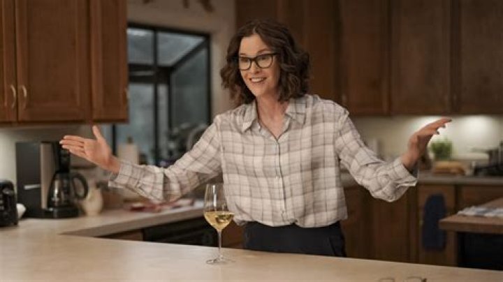 Ally Sheedy On Going From The Brat Pack To Motherhood In Single Drunk Female