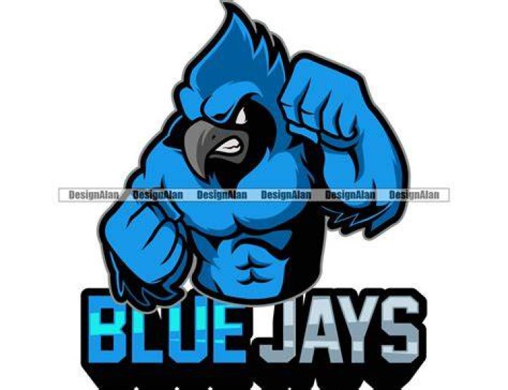 Angry blue jay bird on Craiyon