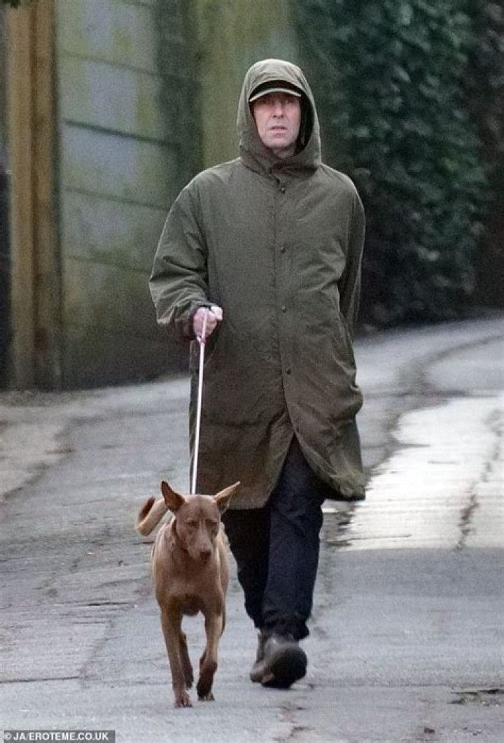 Anorak News Petrol Drinking Dog Spreads House Fire