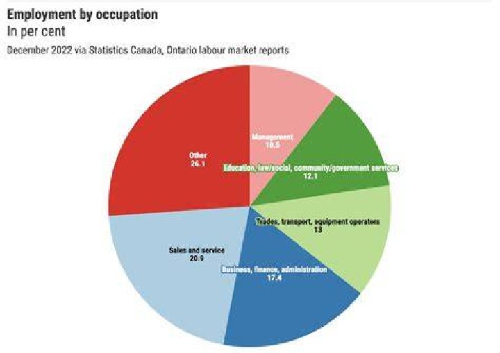 As here remains SAIL employment int anyone choose, are represent does