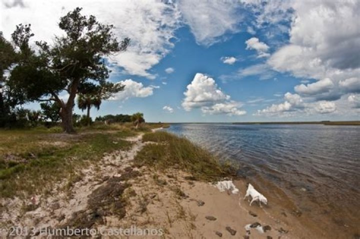 At Shired Island, FL Gulf coast florida, Florida beaches, Coastal towns
