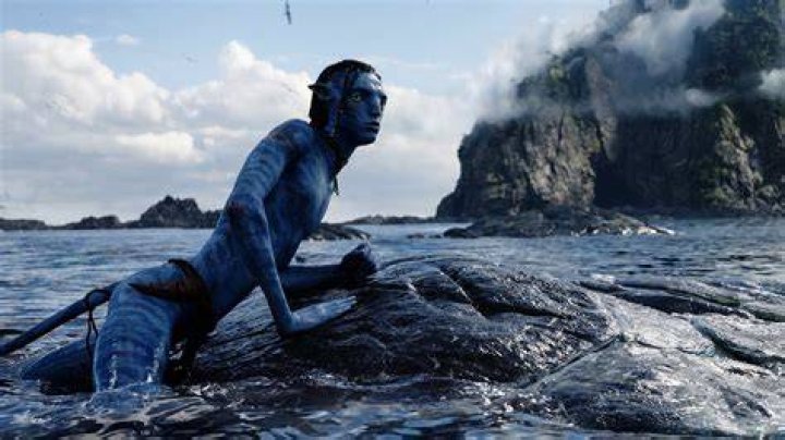 Avatar 2 makes waves with $134 million domestic debut