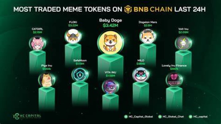 BabyDoge 1 Most Traded Meme Coin in BNB Chain last 7 days 310/11/22