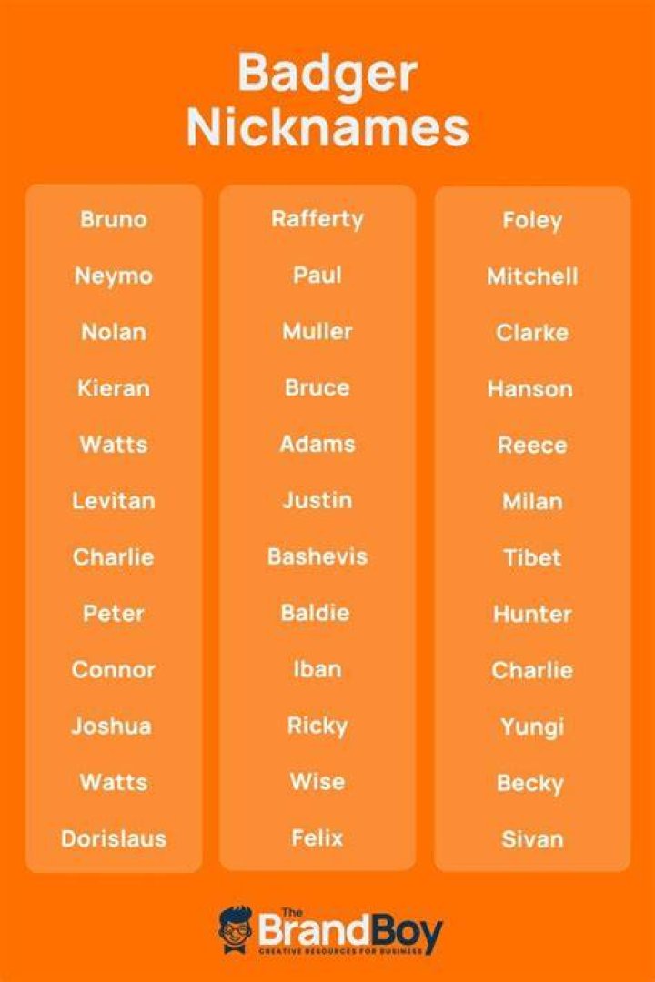 Badger Nicknames 640+ Cool and Catchy Nicknames BrandBoy