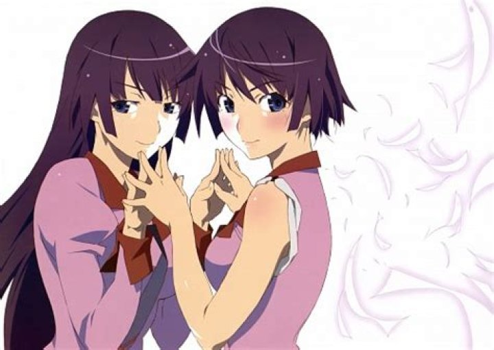 Bakemonogatari (Hitagi Senjougahara) Minitokyo