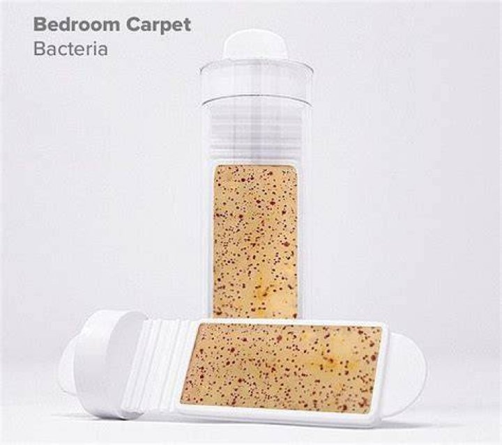 Bedroom carpet bacteria. Photo / Daily Mail