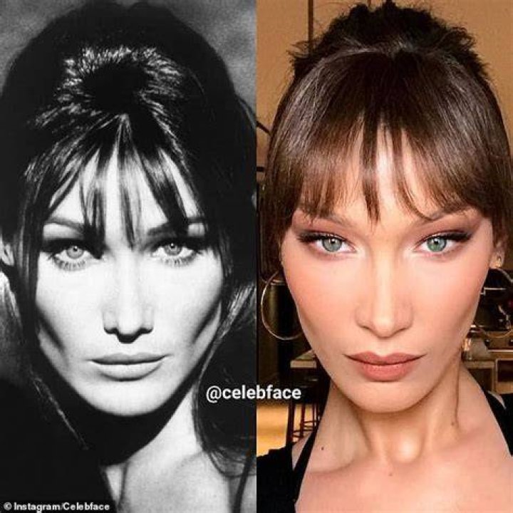 Bella Hadid and Carla Bruni Look Like Actual Twins in Cannes Big