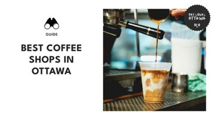 Best Local Coffee Shops in Pittsburgh, PA Big Dog, Zeke's & More