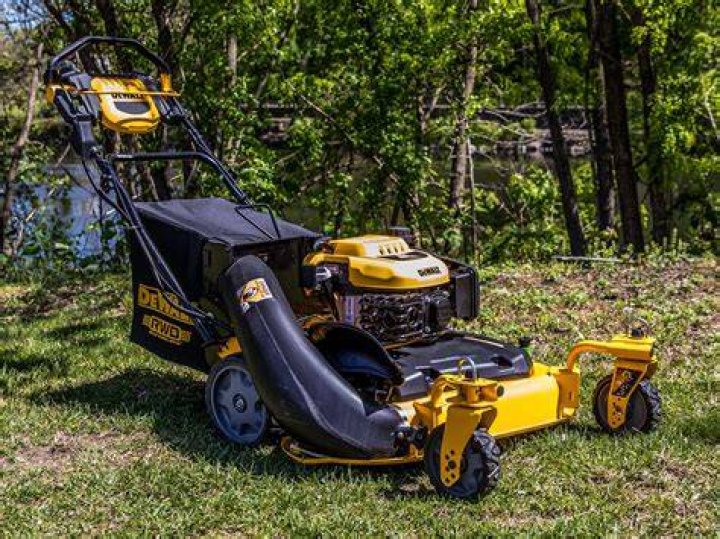 Best Rated Walk Behind Mowers: A Comprehensive Guide