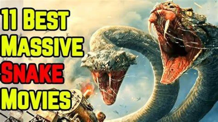 Best Snakes In Movie History, Ranked