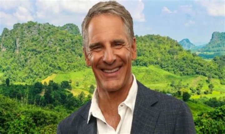 Bill Bakula Net Worth, Wiki, Age, Wife, Biography, Family