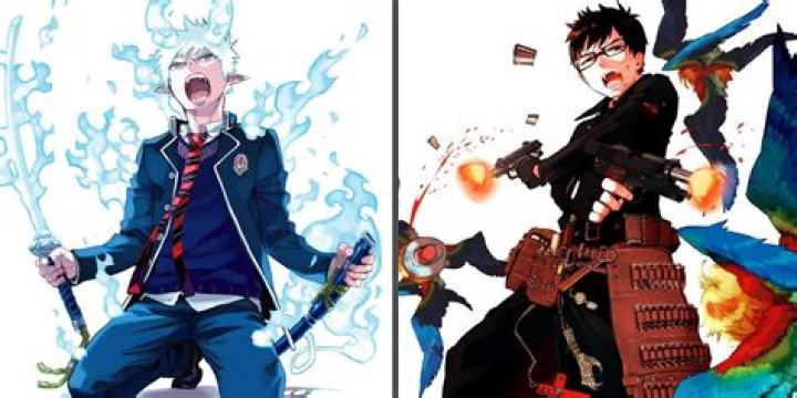 blue exorcist rin yukio