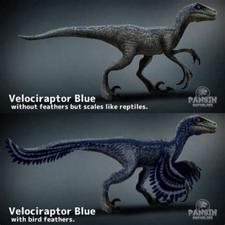 Blue the Velociraptor in Jurassic World