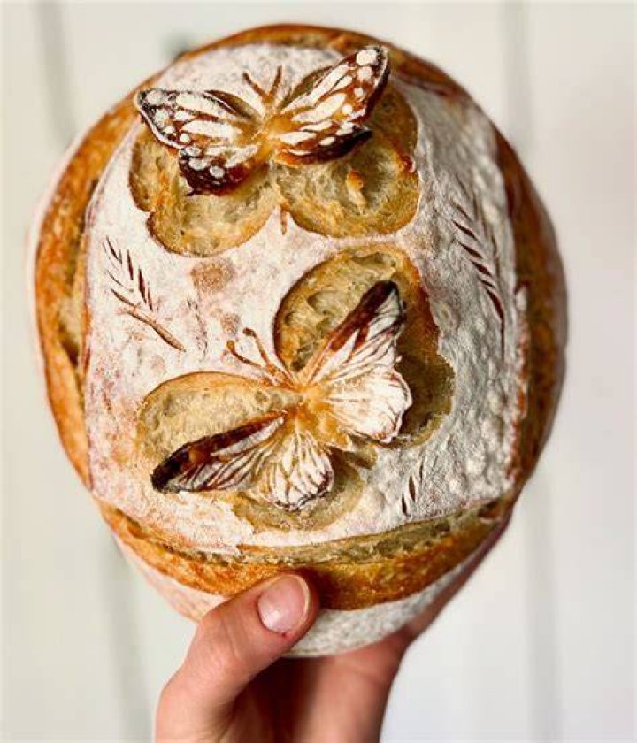 bread and butterfly creature in wonderland