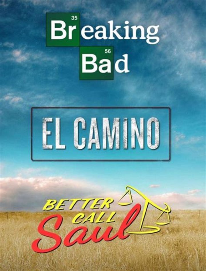 Breaking Bad El Camino Questions Jesse Skyler Gene