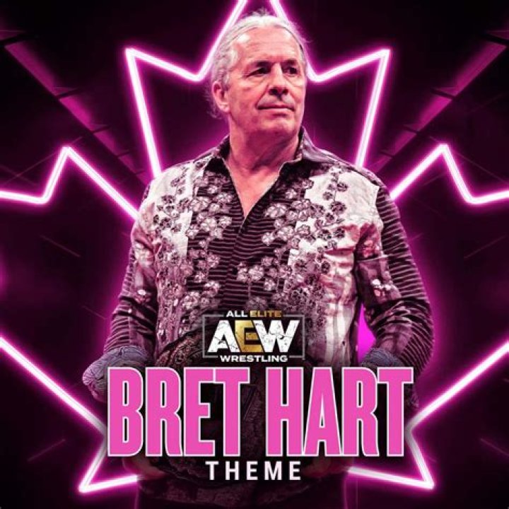 Bret Hart & 9 Other Wrestlers Who Got Screwed By Vince McMahon