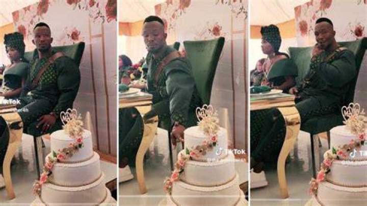 buff groom tasting cake buff groom tasting cake