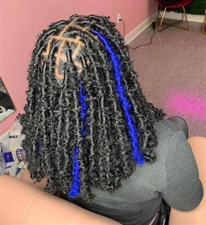 Butterfly Locs With Color Blue Butterfly Mania