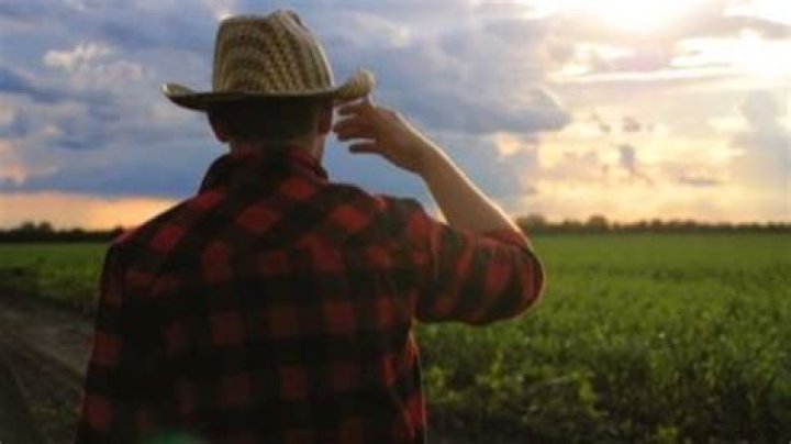 Canadian farmer with UNACCEPTABLE views on Twitter "Lisa Phill