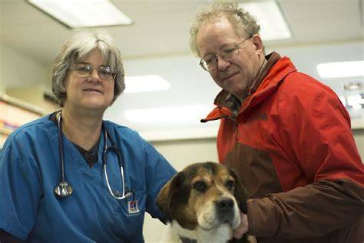 Caribou veterinarians passing business to new owner Fiddlehead Focus