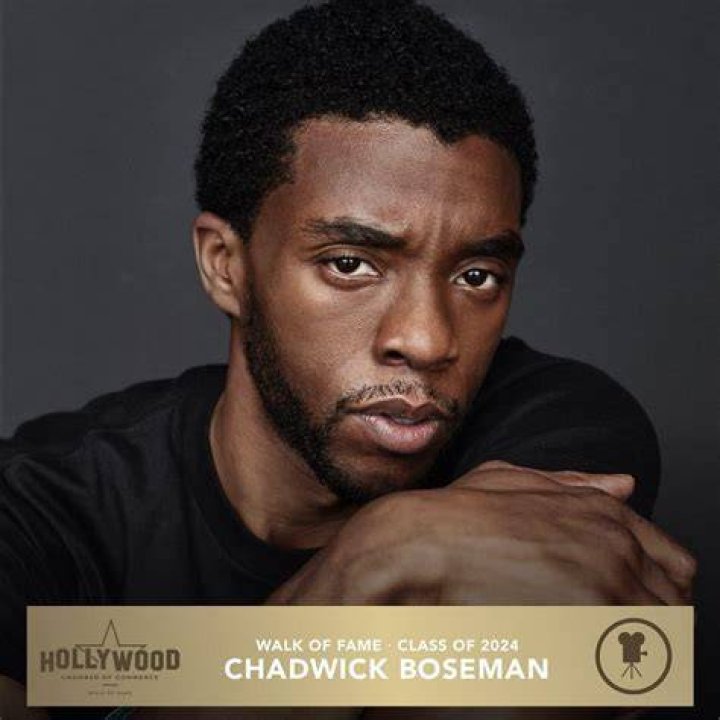 Chadwick Boseman Fan Casting for Deceased Celebrity Look Alikes | myCast